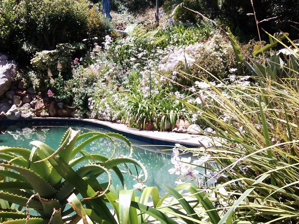 Hout Bay Hideaway Hotel Exterior photo